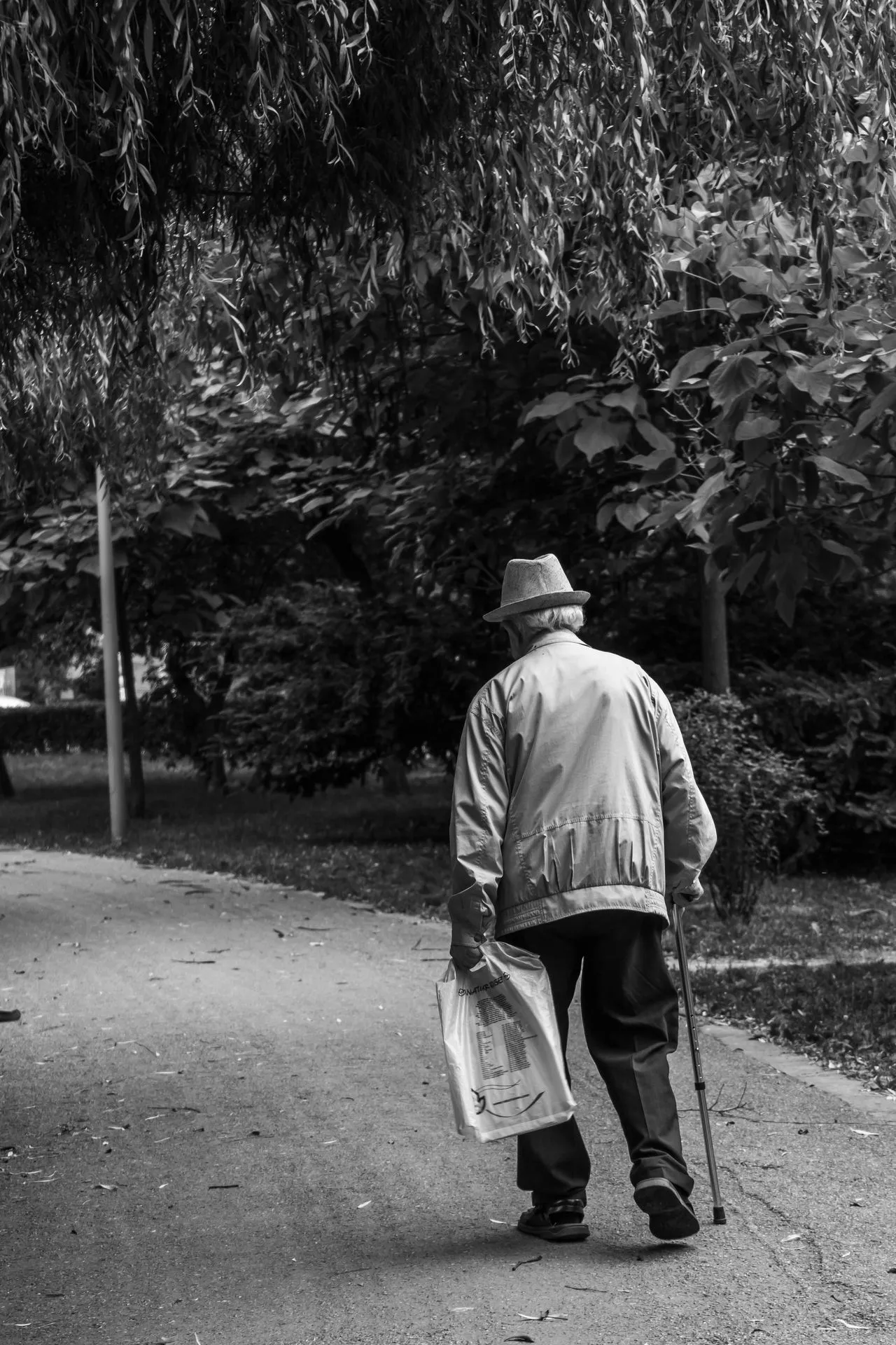 Compassionate in-home senior care in Urbandale